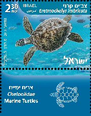 Stamp:Hawksbill Turtle, designer:Tuvia Kurttz, Ronen Goldberg 02/2016